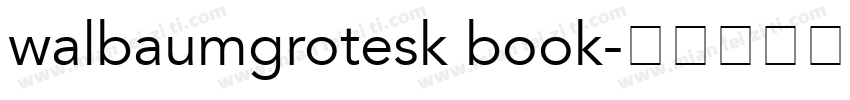 walbaumgrotesk book字体转换